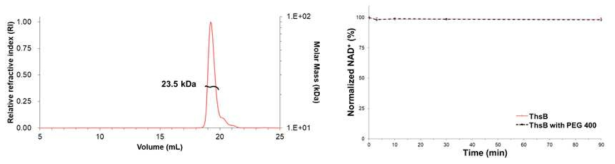 ThsB 단백질의 NAD 분해 기능 시험