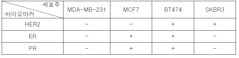 유방암 세포주 (-) 음성, (+) 양성