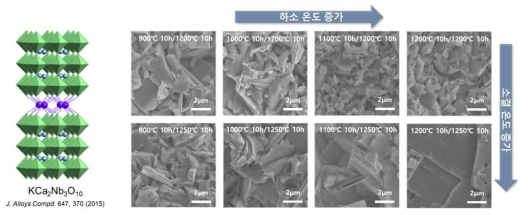 KCNO의 화학구조 (좌), 하소 및 소결 온도에 따른 KCNO 벌크 소재의 파단면 SEM 이미지 (우)