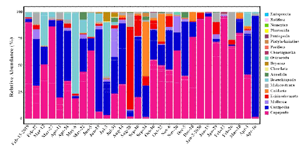 Taxonomic composition of zooplankton for 30 samples with 19 taxonomic groups