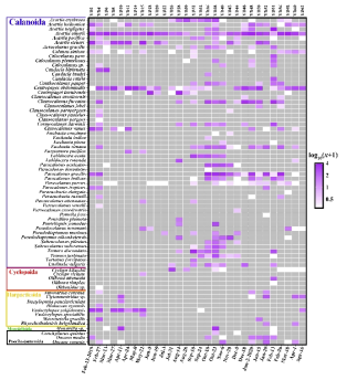 Taxonomic composition of zooplankton for 30 samples with 19 taxonomic groups