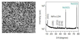 NiFe 이중층수산화물/Ni 기판의 전자현미경 이미지 및 X선 회절 패턴