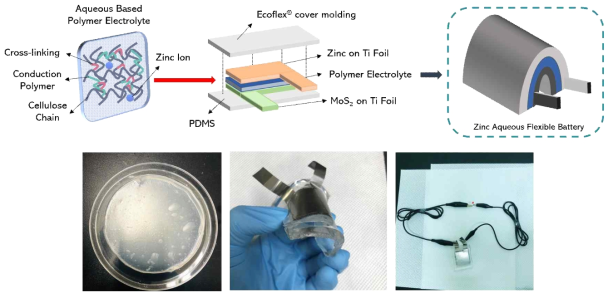 Cellulose를 이용한 고분자 전해질 제작을 통한 Zinc-ion polymer flexible battery 구현