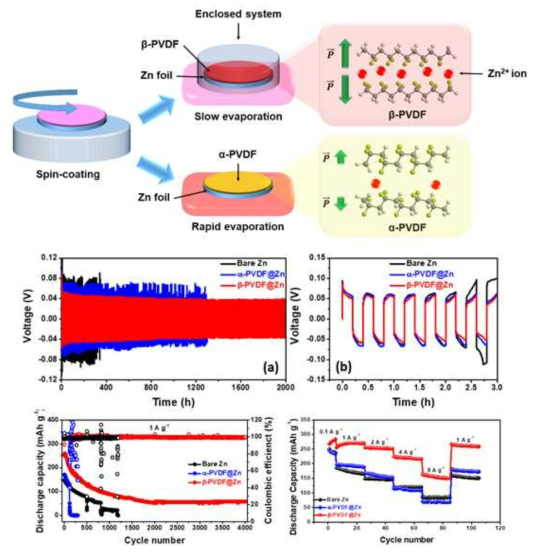 Spin coating 공정을 활용한 alpha-PVDF@Zn, beta-PVDF@Zn 음극 제작 및 symmetric cell 측정을 통한 음극 소재의 plating/stripping 안정성 테스트 결과와 V2O5/C 양극으로 구성된 full cell performance 성능 측정 결과