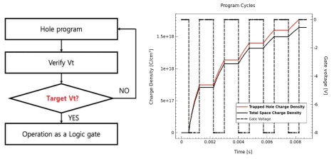 Target Vt를 만들기 위한 프로그램 sequence (b) Gate pulse에 따른 program hole density