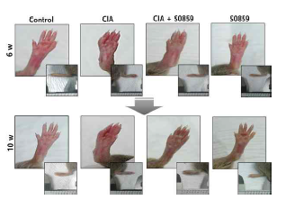 CIA 모델 사진