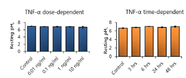 TNF-α 자극에 의한 활막섬유세포 내의 pH 변화