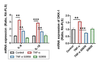 TNF-α와 S0859에 의한 염증성 인자들의 발현 비교