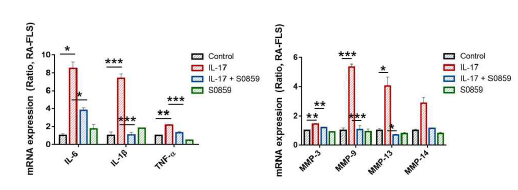 IL-17과 S0859에 의한 증식 및 염증성 인자들의 발현 비교
