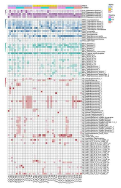 Metagenome-assembled genomes (MAGs) 조립을 통한 두피 미생물 커뮤니티 분석
