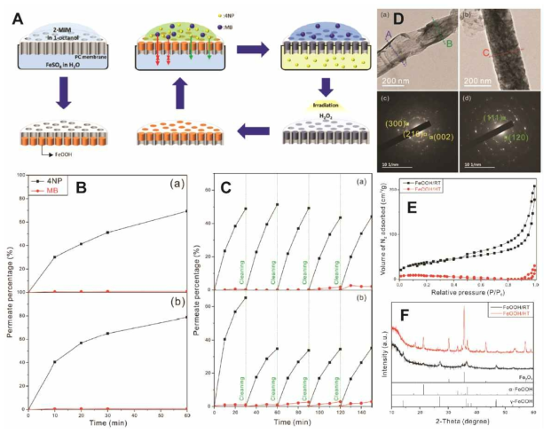 (A) 재사용 가능한 FeOOH-PC 분리막의 제조와 사용 과정에 대한 모식도. (B,C) 두 가지 방식으로 제작된 FeOOH-PC 분리막의 (B) 분리 성능 분석, (C) 재사용 성능 분석 결과. (D) FeOOH 나노튜브의 전자현미경 분석 데이터. (E,F) 두 가지 방식으로 제작된 FeOOH 나노튜브의 (E) 질소 흡착 실험, (F) XRD 분석 결과