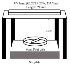 UV lamp를 이용한 처리 방법 모식도