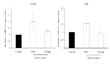 Comparison of expression of anti-inflammatory cytokines (transforming growth factor beta 1, TGFB1; interleukin 10, IL10) by oocytes source in porcine oviduct tissues