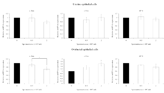 Changes of transcription factor related genes by boar spermatozoa in porcine uterine and oviductal epithelial cells (p<0.05)