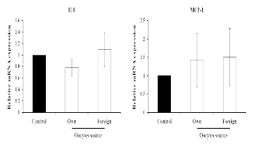 Comparison of expression of chemokines (interleukine 8, IL8; macrophage chemoattractant protein 1, MCP-1) by oocytes source in porcine oviduct tissues