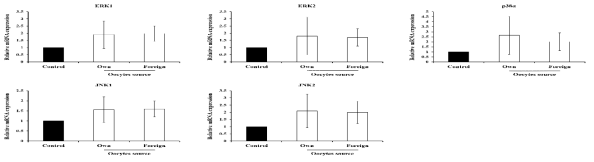 Changes of mitogen-activated protein kinase signaling elated genes by oocytes source in porcine oviduct tissues