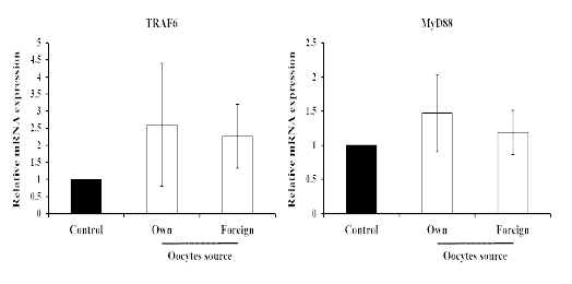 Changes of transcription factor elated genes by oocytes source in porcine oviduct tissues