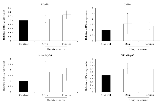 Changes of nuclear factor-kappa B signaling related genes by oocytes source in porcine oviduct tissues