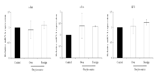 Changes of transcription factor elated genes by oocytes source in porcine oviduct tissues