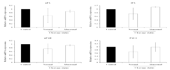 Changes of plasminogen activators (PAs)-related genes (urokinase-type, uPA; tissue-type, tPA; uPA receptor, uPAR; type-1 PA inhibitor, PAI-1) by embryo quality in porcine oviductal epithelial cells