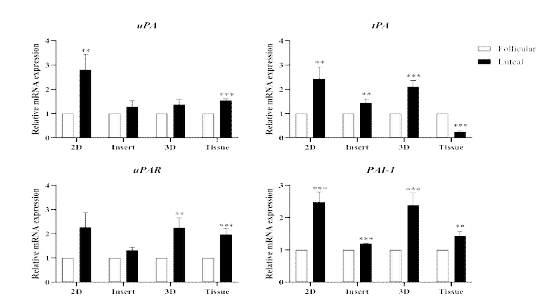 Plasminogen activators (uPA, tPA, uPAR and PAI-1) mRNA expression levelsin 2D, insert dish, 3D and tissue culture of follicles and luteal phase in pigs (p<0.05)