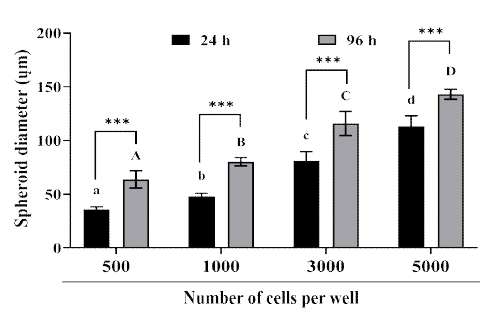 Effect of the number of jar cells per well cultured for 24 and 96 h on the spheroid diameter. Asterisks indicate significant differences between 24 h and 96 h during spheroid culture (p<0.05)
