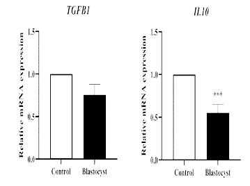 Changes of anti-inflammator y cytokines (TGFβ1 and IL10) in 3-dimensional culture models co-cultured with blastocysts in pigs (p<0.05)