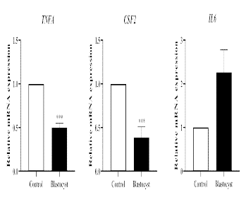 The mRNA expression levels of pro-inflammatory cytokin es (TNFA, CSF-2 and IL6) in 3-dimensional culture models co-cultured with blastocysts in pigs (p<0.05)