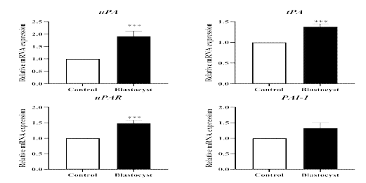 The mRNA expression levels of signaling pathway molecules in Plasminogen activators (uPA, tPA, uPAR and PAI-1) mRNA expression levels in 3-dimension al culture models co-cultured with blastocysts in pigs (p<0.05)