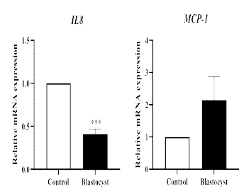 Changes of chemokines (IL8 and MCP-1) in 3-dimension al culture models co-cultured with blastocysts in pigs (p<0.05)