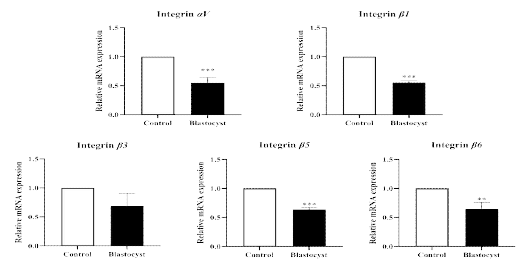 Integrins (αV, Β1, Β3 and Β5) mRNA expression levels in 3-dimension al culture models co-cultured with blastocysts in pigs (p<0.05)