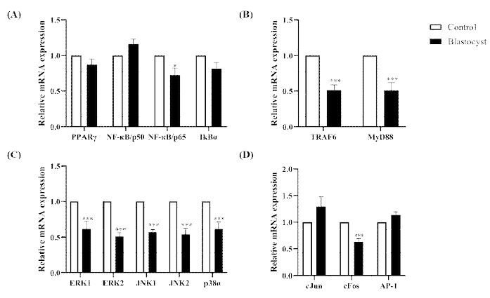 The mRNA expression levels of signaling pathway molecules in 3-dimensional culture model co-cultured with blastocysts in pigs (p<0.05)