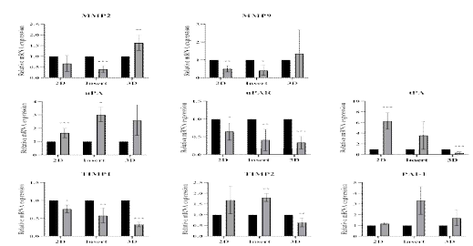 Expression of proteases (MMP2, MMP9, uPA, uPAR and tPA) and their inhibitors (TIMP1, TIMP2 and PAI-1) mRNA by spheroids in a 2-dimensional (2D), insert and 3-dimensional (3D) culture model using human endometrial cells (p<0.05)