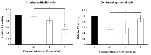 Change of plasminogen activators (PAs) -related genes (urokinase-type, uPA; tissue-type, tPA; uPA receptor, uPAR; type-1 PA inhibitor, PAI-1) by Percoll-separated boar sperm in porcine uterine and oviductal epithelial cells . (p<0.05, **p<0.01, ***p<0.001)