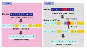 해밍코드 기반 DNA 오류 검출/수정 (Error detection/correction) 기술