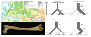 인간 조상의 뼈에서 분리된 미토콘드리아 DNA 동정 (Nature 531, 504-507, 2016년)