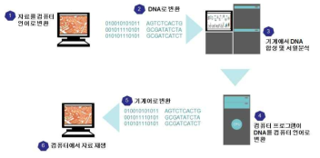 DNA 분자를 이용한 디지털 정보의 저장 및 해독 시스템 모식도