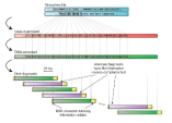 Base-3 변환 Huffman 코드를 이용한 DNA 스토리지 모식도 (Nature 494, 77–80, 2013년)