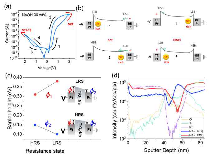 (a) 30wt% Na:TiO2 소자의 I-V 커브 (b) I-V 커브에 숫자로 표기된 각 저항상태에서 예상되는 밴드 모식도. (c) 각 저항상태에서 측정된 상하부 계면의 Schottky barrier 높이. (d) 각 저항상태에서 측정된 원소별 depth profile data