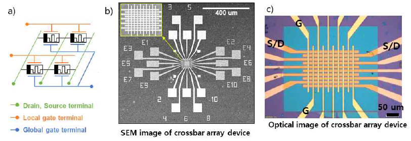 (a) Dual-gate memtransistor를 이용한 crossbar array 구성 회로도. Dual-gate memtransistor를 이용한 9x10 크기의 crossbar array의 (b) SEM 이미지 및 (c) 광학현미경 이미지