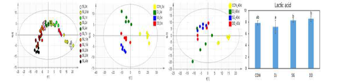 김치 발효 중 대사산물 변화 패턴 추적(PLS-DA score plot) 및 대사산물 분석