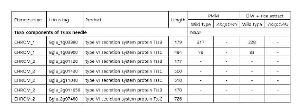 The secreted protein of Type VI secretion system needle components