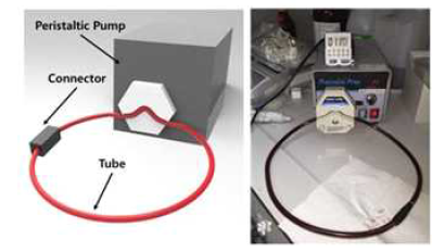 In-vitro test 실험 사진