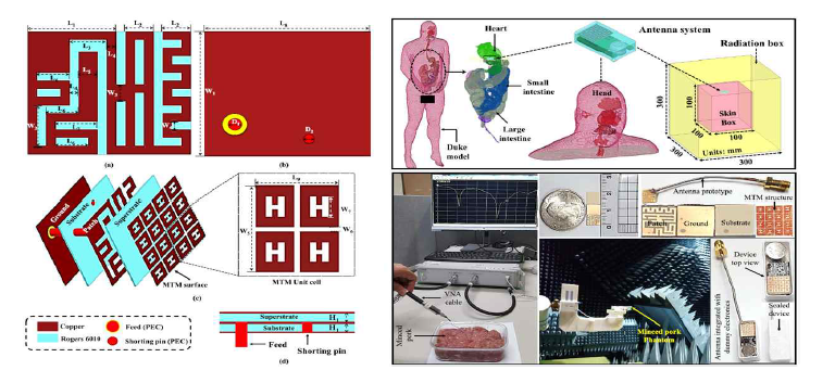 메타물질을 적용시킨 고이득 원형편파 초소형 이식형 안테나 개발 및 시뮬레이션 및 측정 Setup