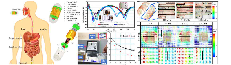 캡슐내시경에 적용할 다중대역 안테나의 Linkbudget 및 surface current와 E 분포 결과