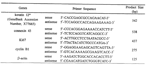 SP의 세포가 줄기세포의 특징을 보유하며 결막 상피 줄기세포일 가능성을 제시한 유전자Sequence