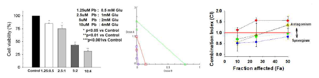 중금속(Pb2+) 및 Glutamate 복합노출로 인한 손상 증폭