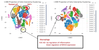 Cell Ranger를 이용한 WT 과 HDC KO stomach cell clustering