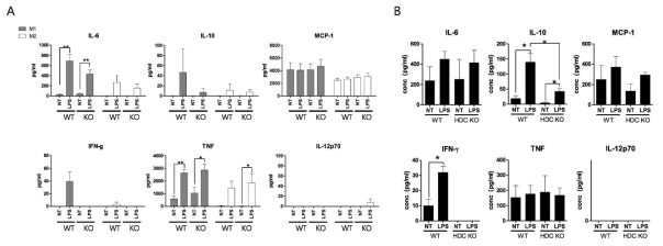 WT과 HDC KO 대식세포에서 발현하는 염증성 사이토카인 발현을 BMDM과 복강대식세포에서 분석