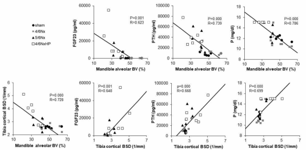 하악 치조골 BV와 FGF23, PTH 및 P와의 상관관계/ 경골 피질골의 bone surface density (BSD) 와 FGF23, PTH 및 P와의 상관관계/ 하악 치조골 BV과 경골 피질골 BSD와의 상관관계